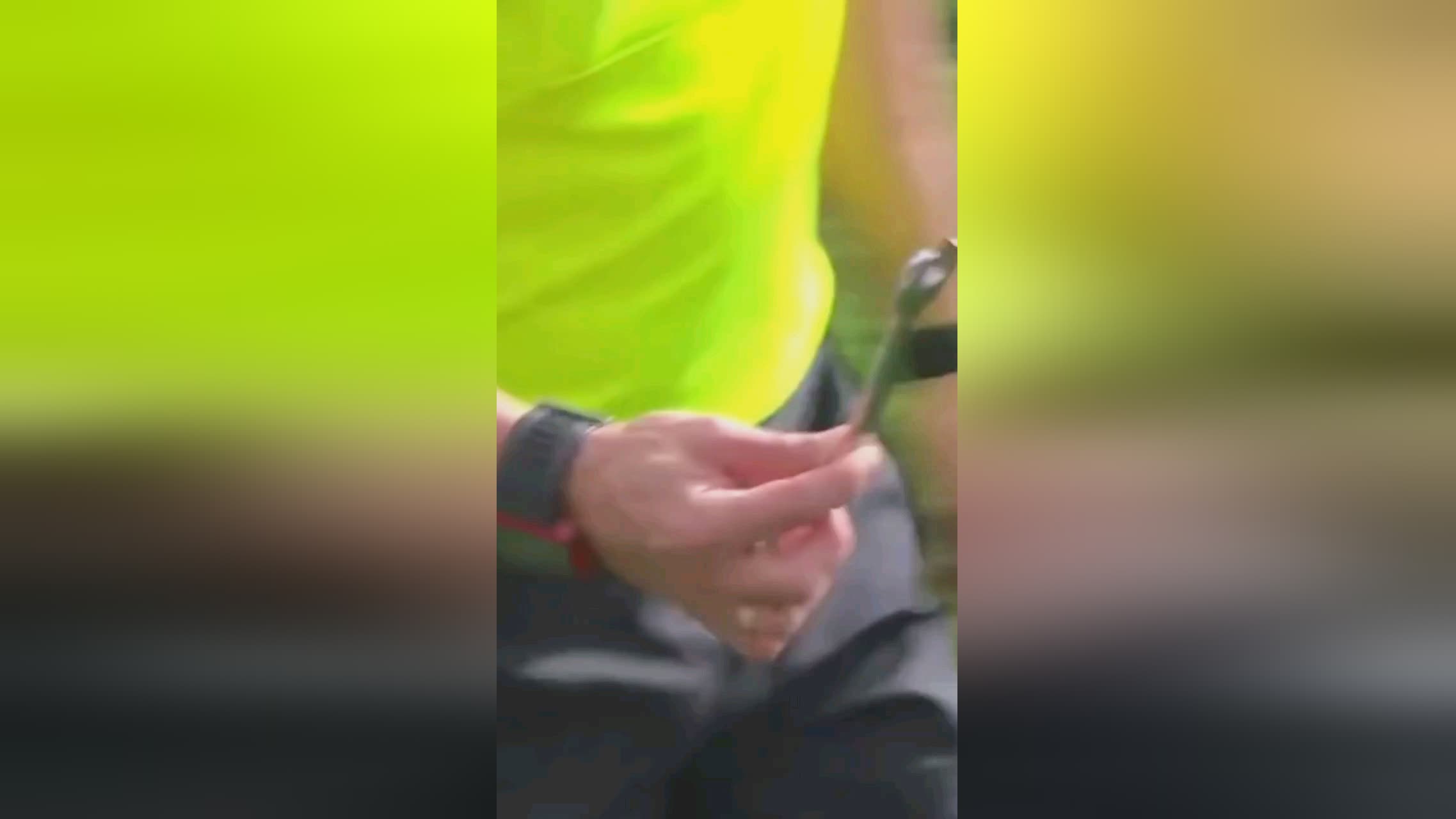 作能够更加